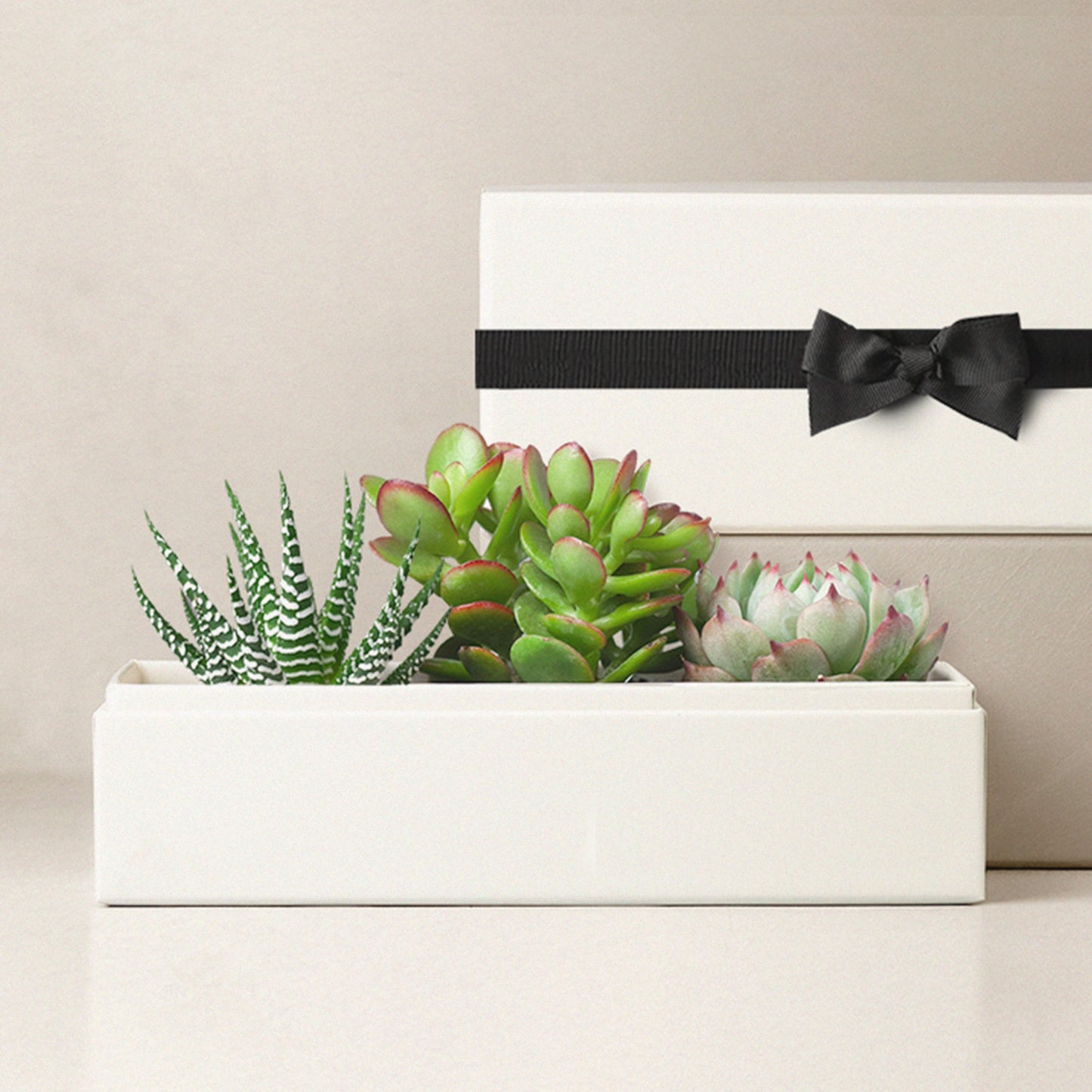 Black Bow Jewel Garden