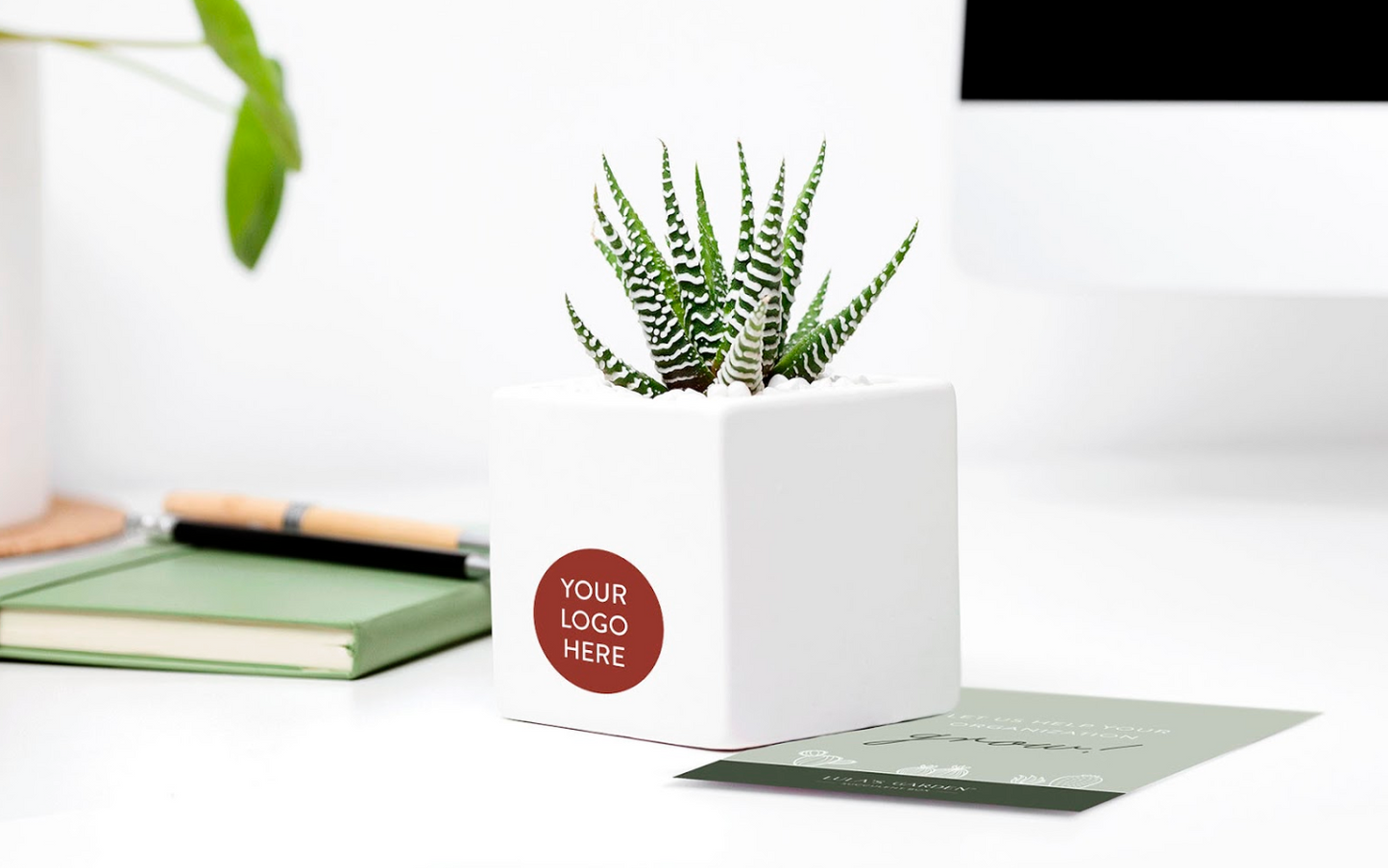 Branded Ceramic Desk Succulent