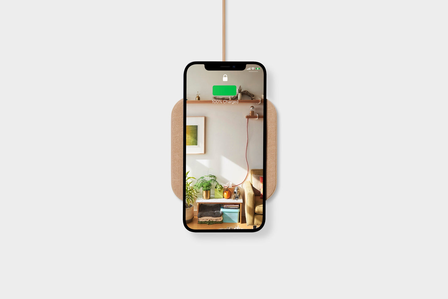 CATCH:1 - Essentials - Forest - Wireless Charger