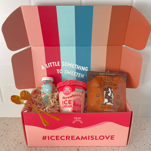 DIY Ice Cream Kit Strawberry & Hot Fudge
