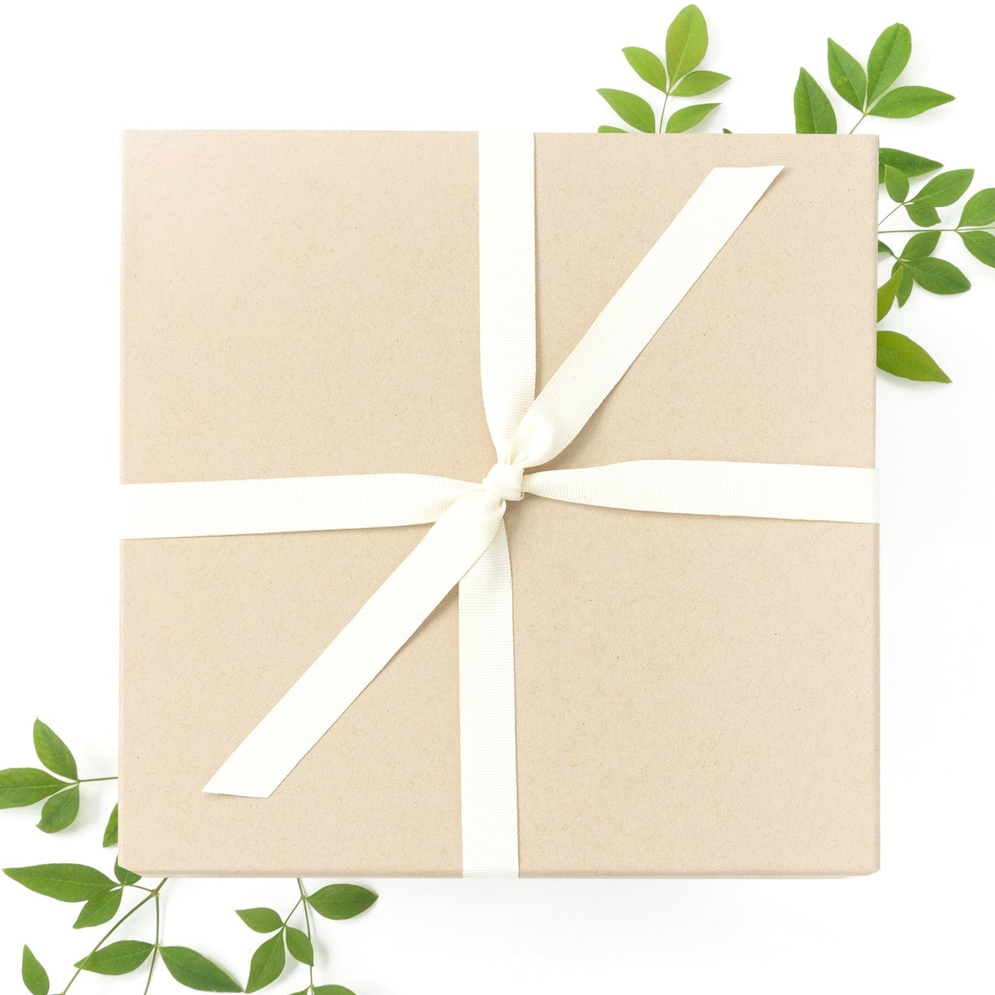 Margarita Box