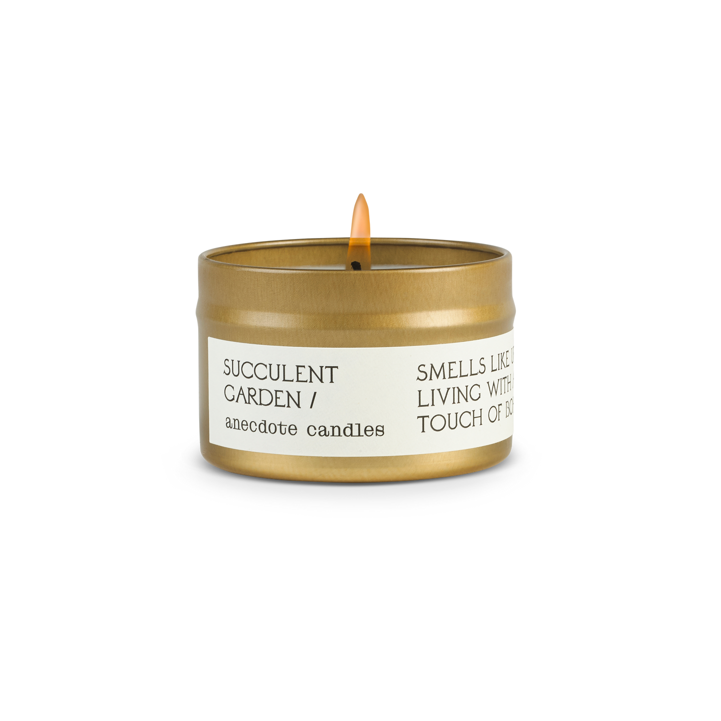 Succulent Garden - Travel Tin Candle
